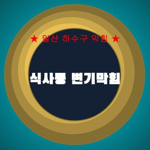 식사동 변기막힘 3809
