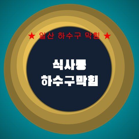 식사동 하수구막힘 4222