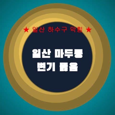 일산 마두동 변기 뚫음 4339
