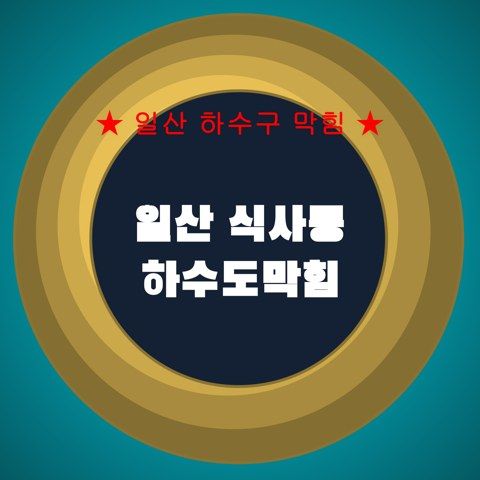 일산 식사동 하수도막힘 4315