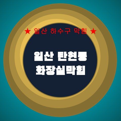 일산 탄현동 화장실막힘 4349