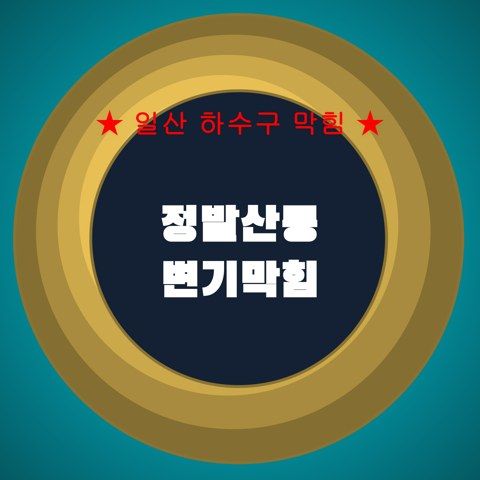 정발산동 변기막힘 4138