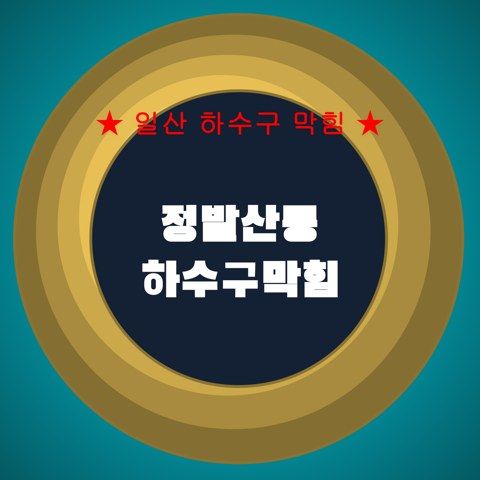 정발산동 하수구막힘 4008