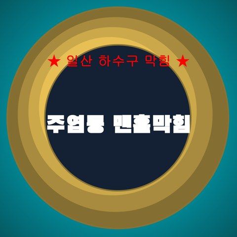 주엽동 맨홀막힘 4278