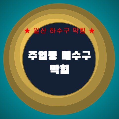 주엽동 배수구 막힘 4126