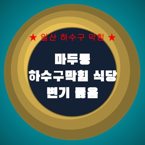 마두동 하수구막힘 식당 변기 뚫음 4523