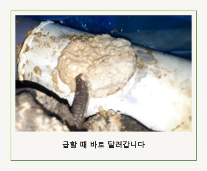 백석동 맨홀막힘 내시경 관로 점검