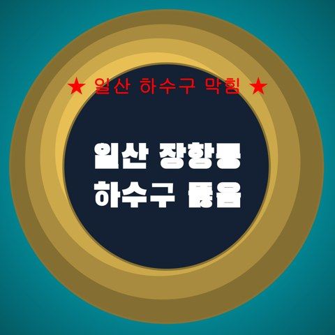일산 장항동 하수구 뚫음 4530
