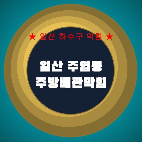 일산 주엽동 주방배관막힘 4517