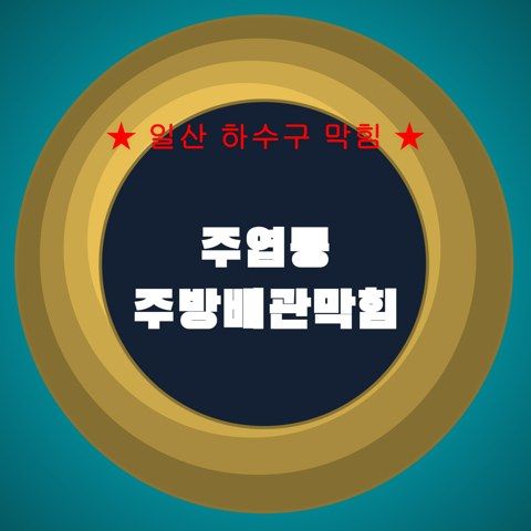 주엽동 주방배관막힘 4487